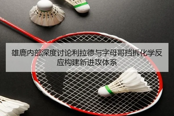 雄鹿内部深度讨论利拉德与字母哥挡拆化学反应构建新进攻体系
